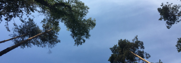 Himmel über dem Buchstein